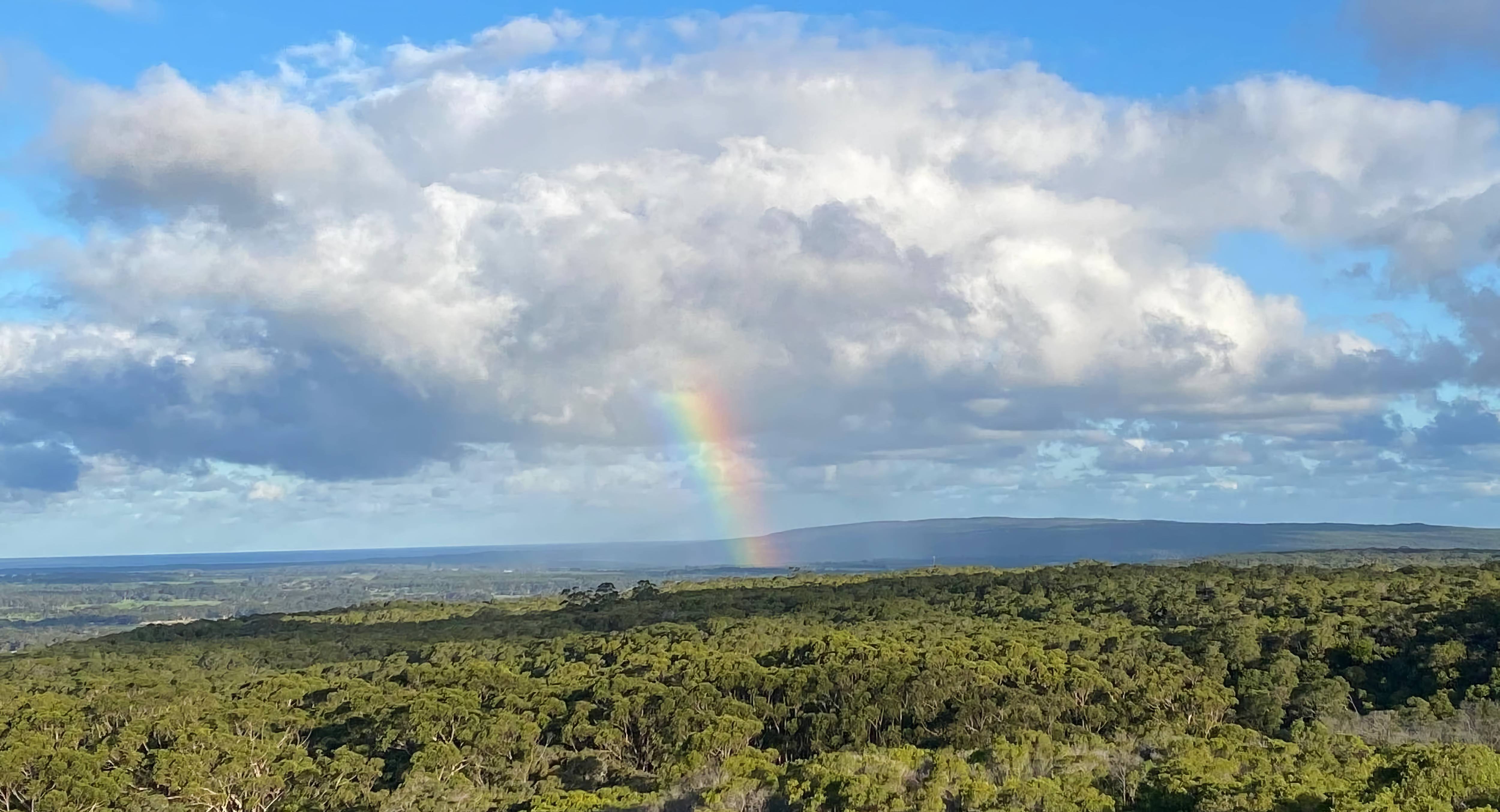Consulenza Naturopatica